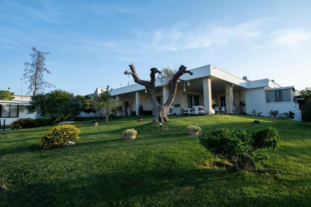 Villa Dalesco Leverano Exterior photo